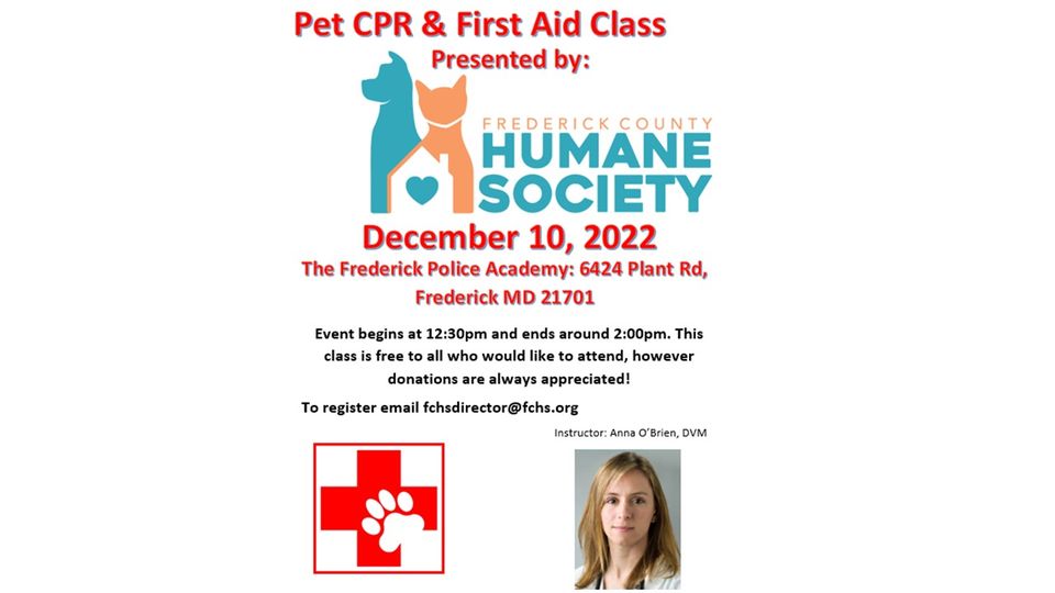 image-974298-Cpr_class-c51ce.jpg